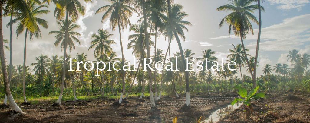 Tropical Real Estate